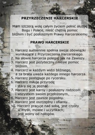 Naklejka ZHP
