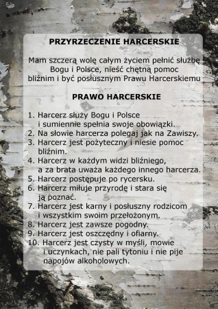 Naklejka ZHR