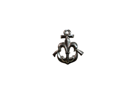 Lilijka wodniacka srebrna
