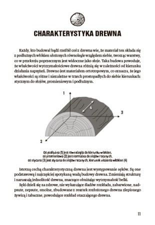 Pionierka obozowa okiem inżyniera 2.jpg