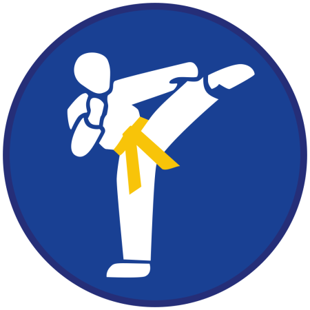 znawca sztuk walki.png