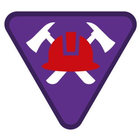 large_tropy-zuchowe-strazacy-zhp-reforma-sim-system-identyfikacji-metodycznej.jpg