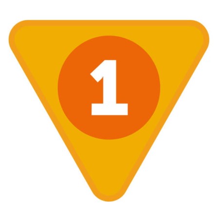large_-0009-sprawnosci-zuchowe-grosik-zhp-reforma-sim-system-identyfikacji-metodycznej.jpg