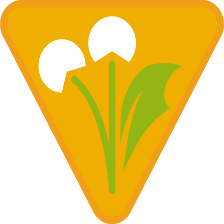 ezgif-3-ada5770401.png