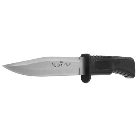 sp-14 muela.webp