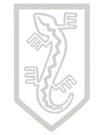 Naklejka NSZ (2).jpg