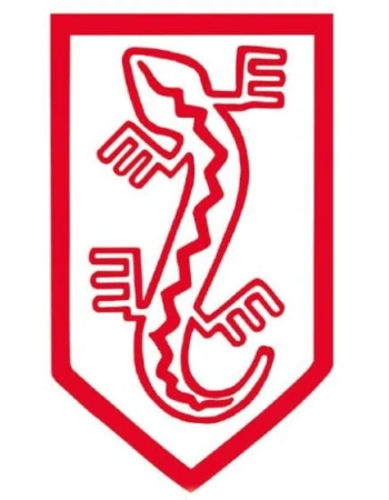 Naklejka NSZ (3).jpg