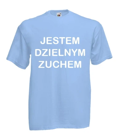 Koszulka jestem dzielnym zuchem.jpg