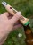 f83e292a438299a6bd588924f1ac.jpg