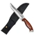 noz-768x778.webp