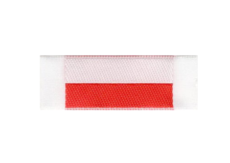 flaga Polski FSE